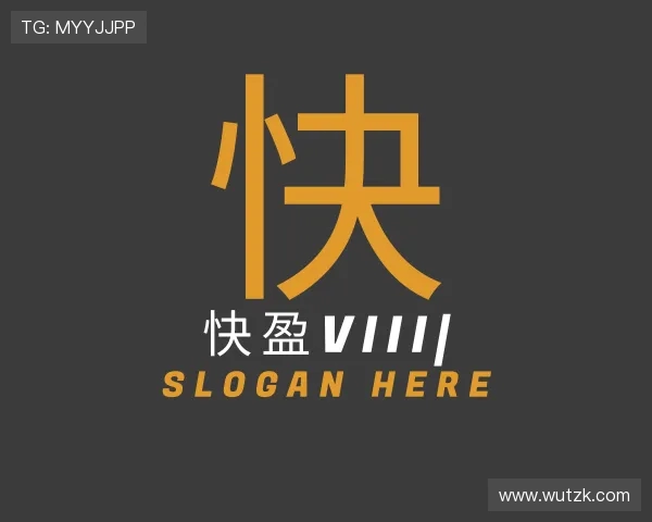 关于快盈VIII